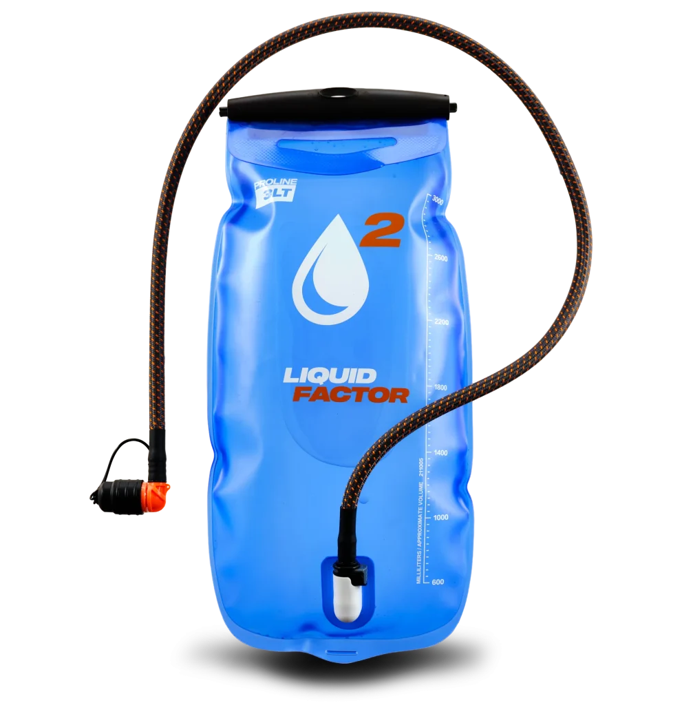 3l